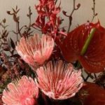 Profile photo of alice