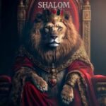 Profile photo of Vaccarro