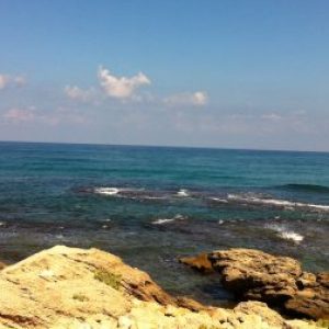 Profile photo of Michelle Poels