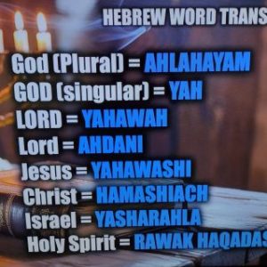 Profile photo of Anthony