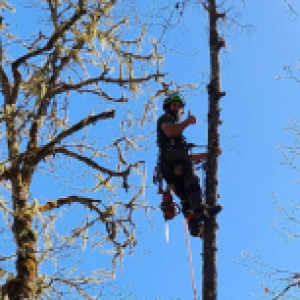 Profile photo of Warren