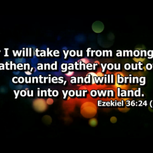 Profile photo of Haaa