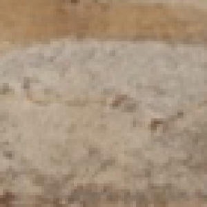 Profile photo of Carmen Megginson