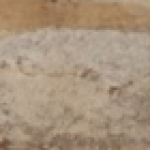 Profile photo of Carmen Megginson